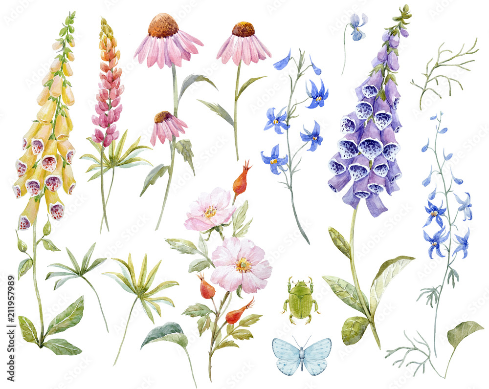 Naklejka premium Watercolor floral set