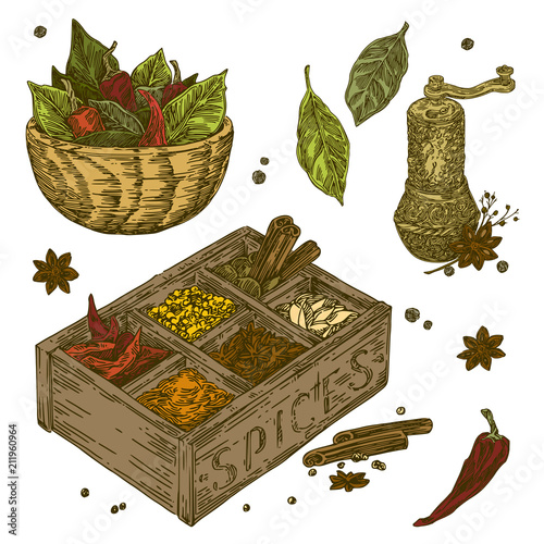Vintage set of spices. Mill, box and dish. Color. Engraving style. Vector illustration.