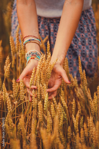 Girl holding golden wheat in the field.