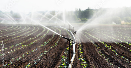 Photography Watering crops in western Germany with Irrigation system using sprinklers in a cultivated field