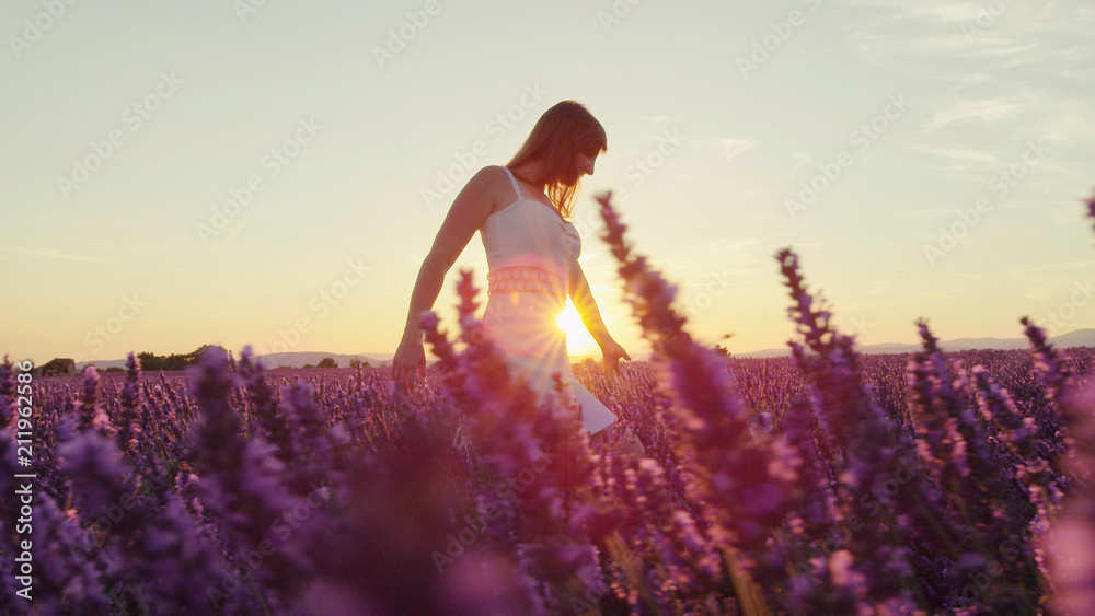 Fototapeta premium SLOW MOTION: Sensual woman enjoying lavender filed at summer sunset