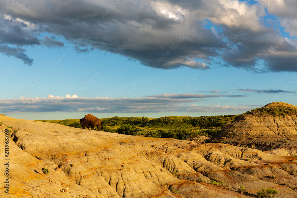 The Petrified Forest Trail at Theodore Roosevelt National Park, North Dakota