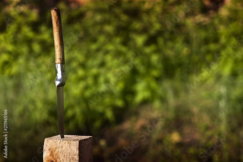 Knife in a wooden beam against the background of nature