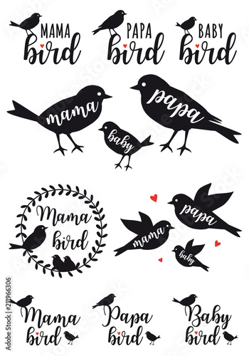 mama bird, papa bird, baby, vector set