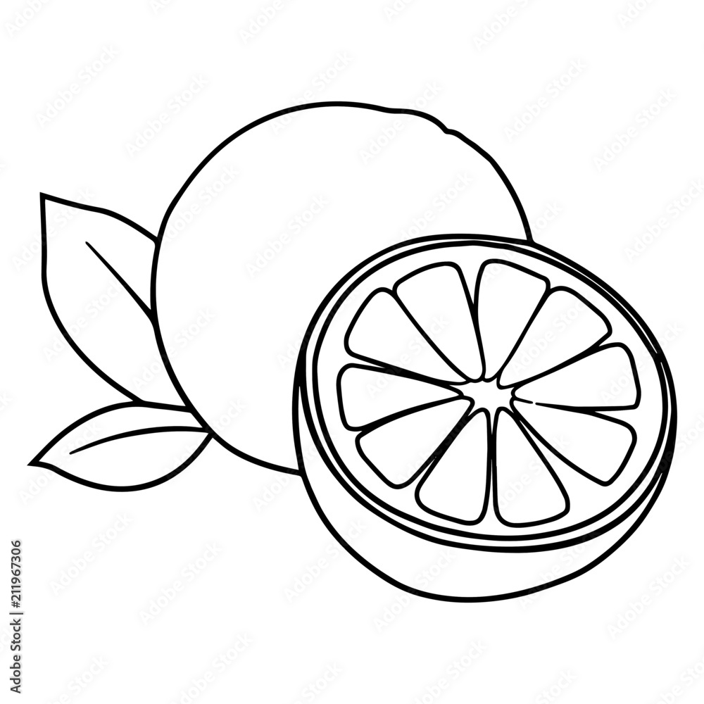 Cute orange cartoon illustration isolated on white background for children color book Cute orange cartoon illustration isolated on white background for children color book