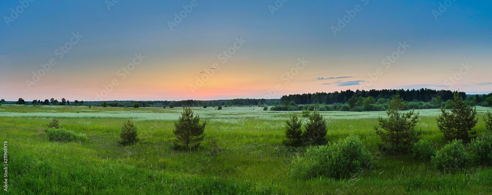 Young ate on a green meadow against a background of a pink evening sunset sky.