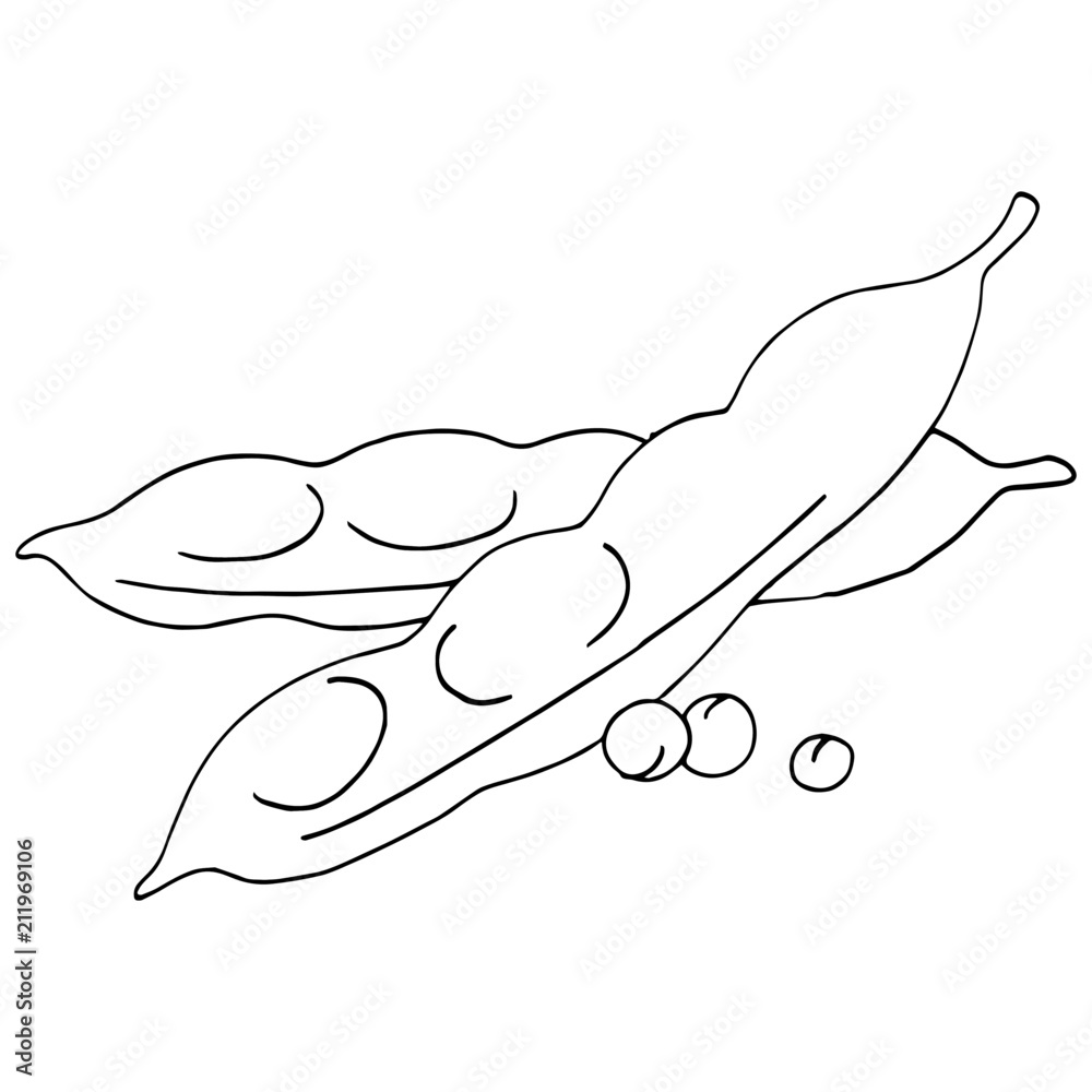 Obraz premium Peas cartoon illustration isolated on white background for children color book