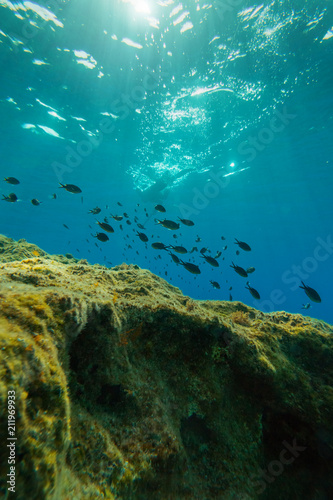 Underwater Split sea © Veniamakis Stefanos