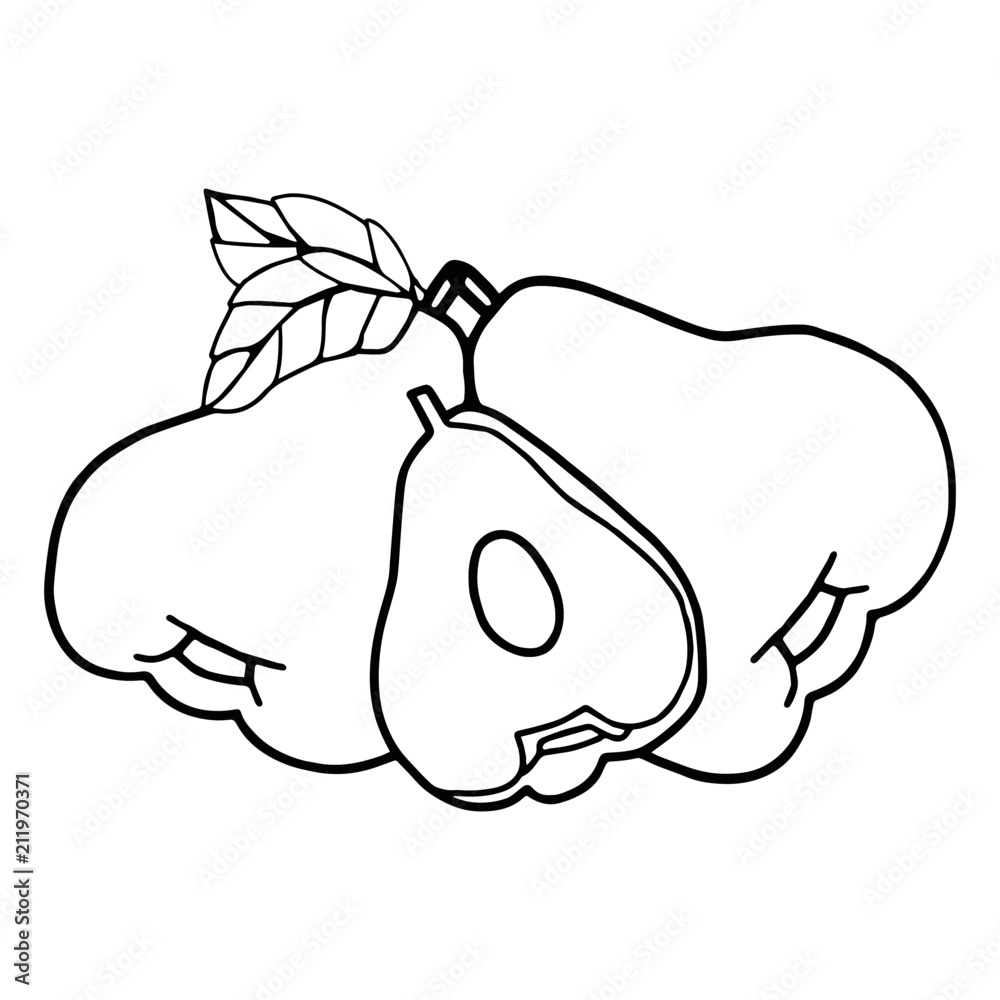 Rose Apple cartoon illustration isolated on white background for children color book Stock