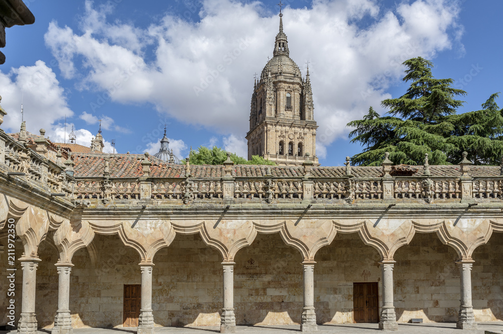 Courtyard of the University of Salamanca, and in the background the tower of the cathedral, Spain
