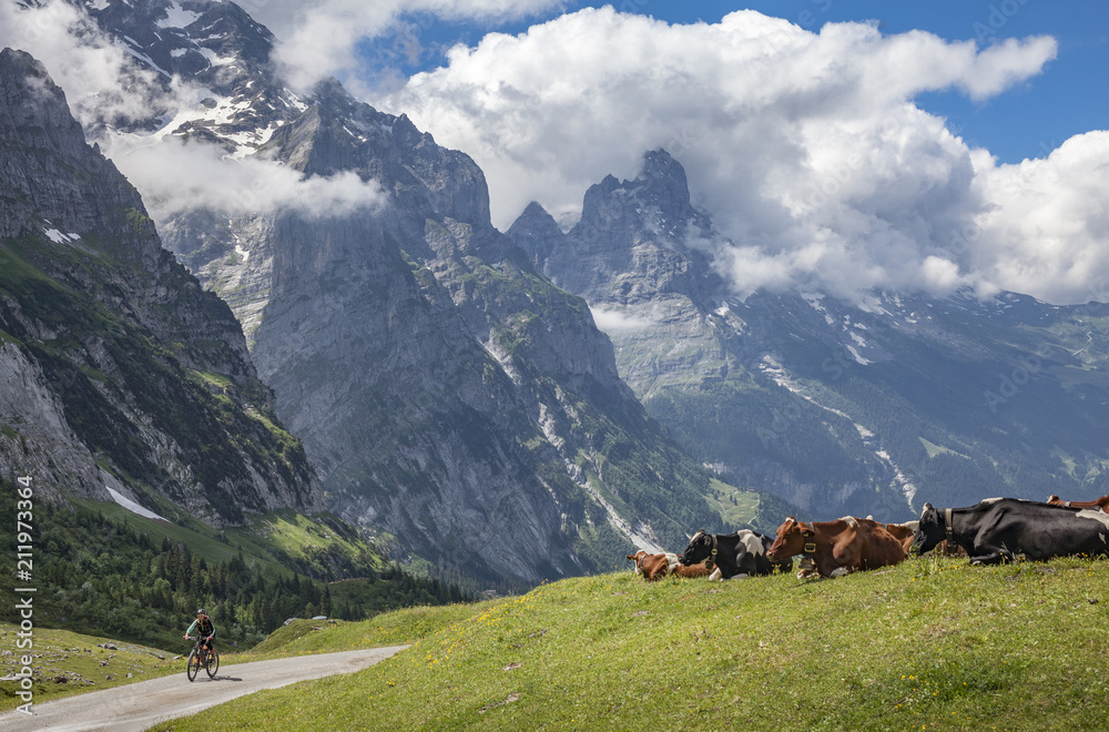 nice and ever young senior woman riding her e-mountainbike below the Eiger northface, Jungfrauregion, Switzerland