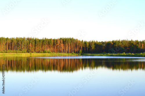 The forest is reflected in the lake.