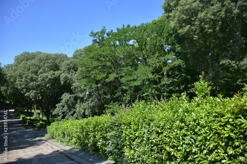 Rome  panorama of the avenues of the Villa Borghese  a large public park in the center of the city.