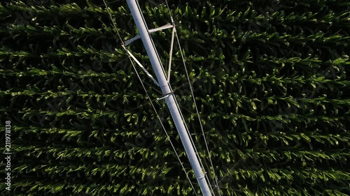 Pivot Irrigation of Corn Field from Above