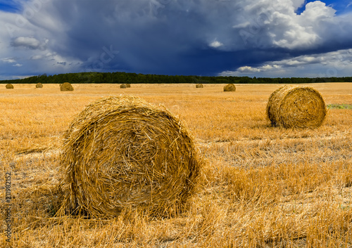 Agricultural landscape with rolls of haystacks. Rich harvesting concept, EC, Europe