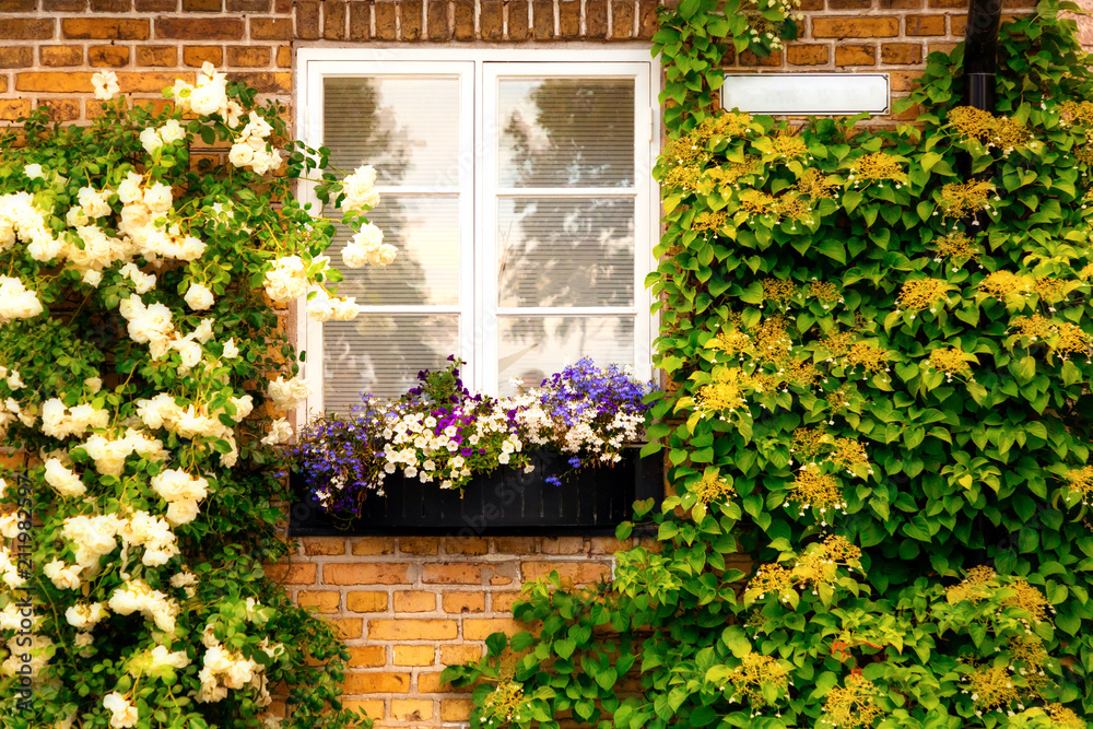 Brick wall with windows and flower boxes with flowering plants in small swedish town Raa, Sweden