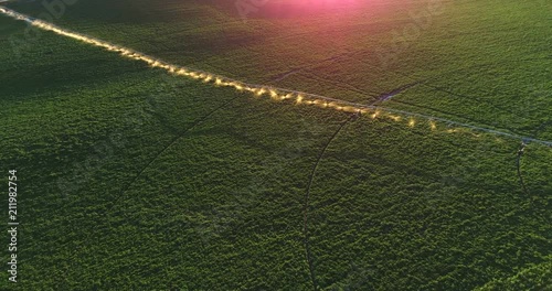 Pivot Irrigation over Potatoes at Dusk with Lens Flare