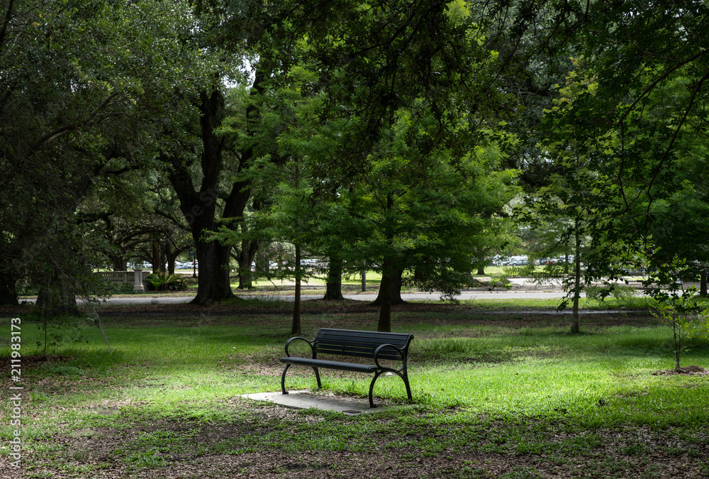 peaceful park bench is waiting for your break peaceful park bench is waiting for your break