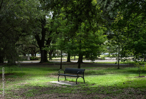 peaceful park bench is waiting for your break