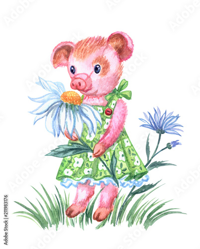 Piglet girl in green summer sundress with chamomile  watercolor drawing on white background  isolated.