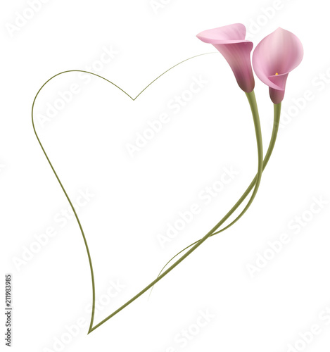 Realistic pink calla lily frame, heart. The symbol of Enchanting beauty.