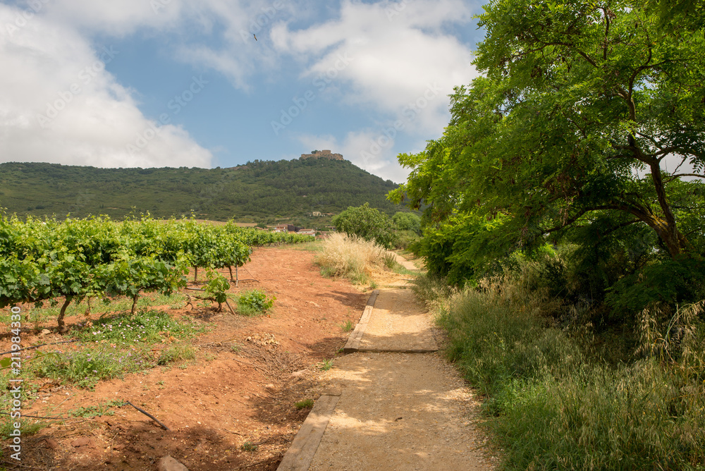 Camino de Santiago as it passes through Navarra