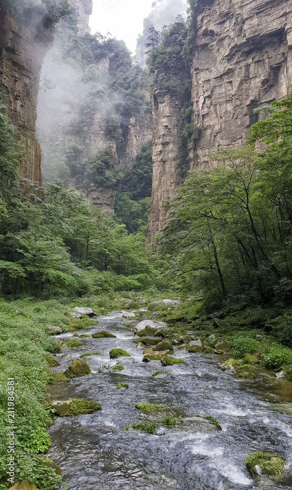 Golden Whip Stream Trail with clouds at Zhangjiajie Natural Forest Park, China Golden Whip Stream Trail with clouds at Zhangjiajie Natural Forest Park, China