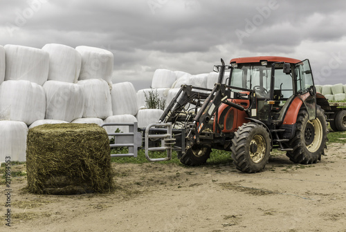 Unpacked from the membrane a silage bale and a tractor with a forklift near the barn. Good food for cows. Dairy farm. Podlasie  Poland.