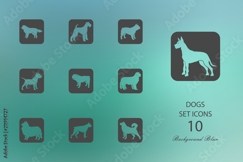 Dogs. Set of flat icons on blurred background