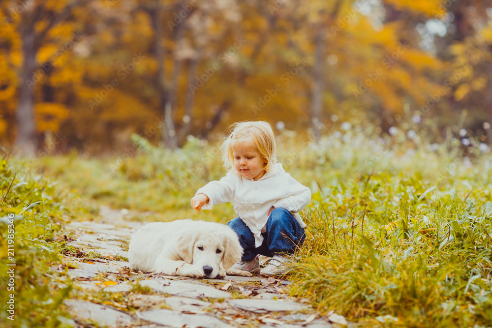 The girl is getting acquainted with a lonely dog The girl is getting acquainted with a lonely dog