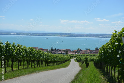 Blick auf Hagnau am Bodensee