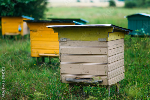  home apiary. wooden hives for bees. © velimir
