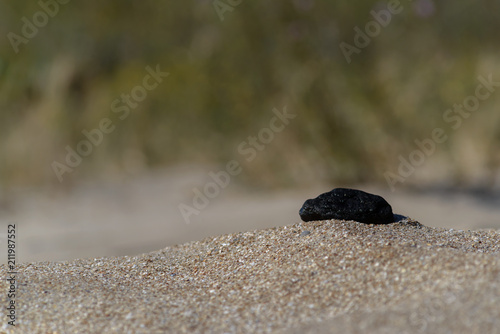 Sand texture, stone on sand