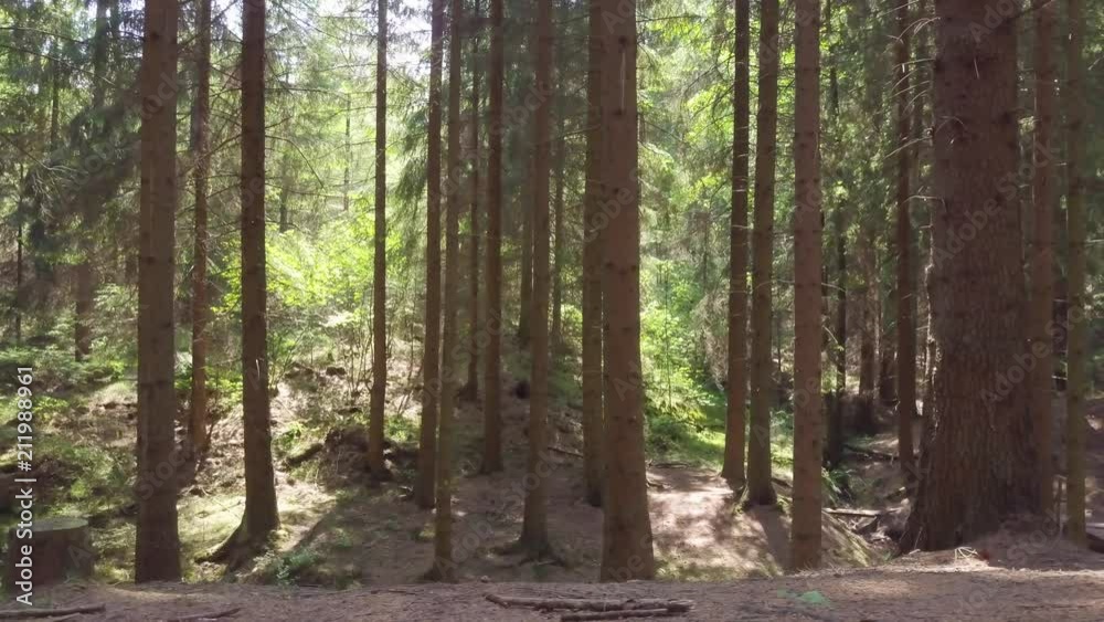 One more beautiful Germany forest, recorded with drone. One more beautiful Germany forest, recorded with drone.