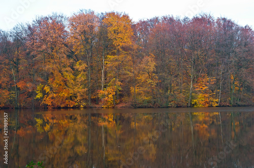 Yellow and red autumn trees. Autumn landscape.