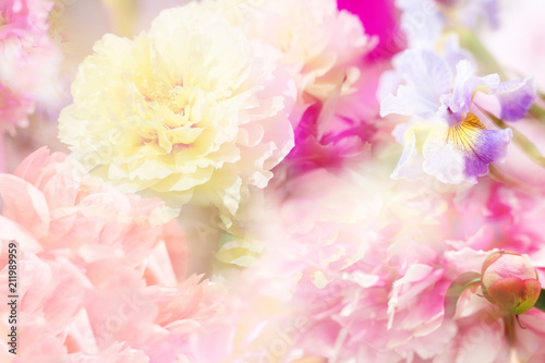 Spring background with flowers. Pastel color is a blurry style. Illustration.