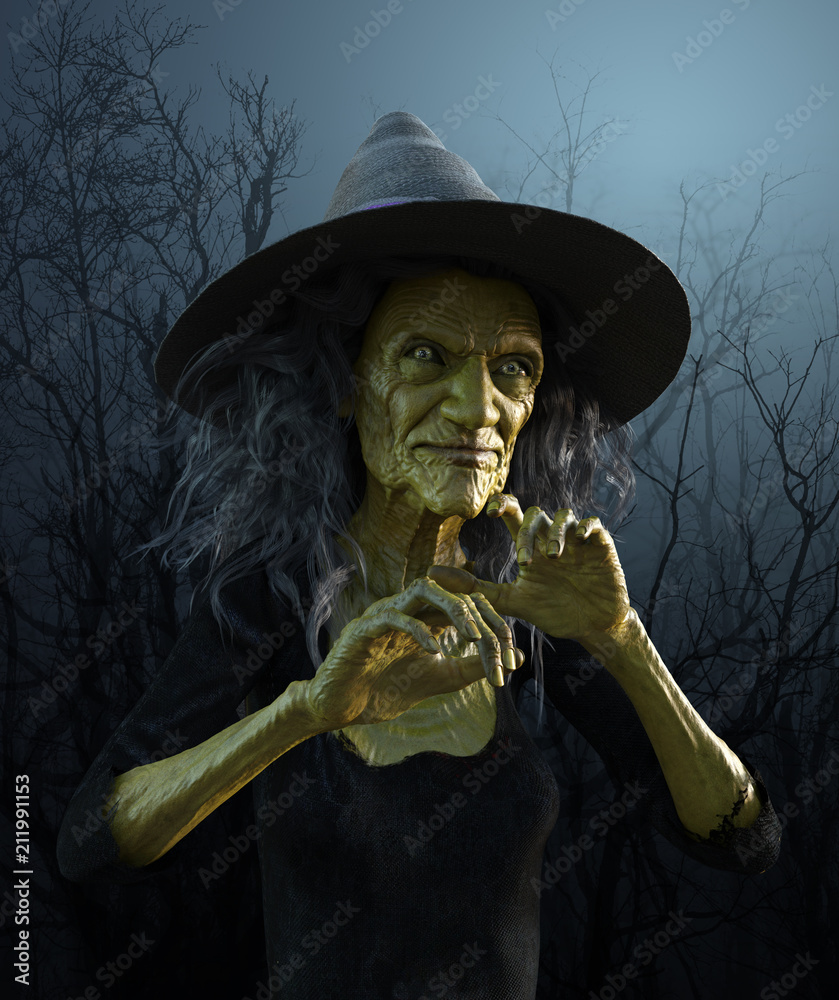 Wicked Old Witch Stock Illustration | Adobe Stock
