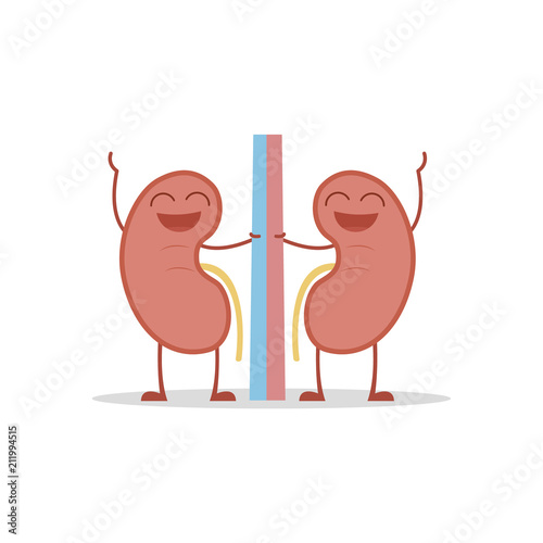 Vector illustration of a healthy and funny kidneys in cartoon style.