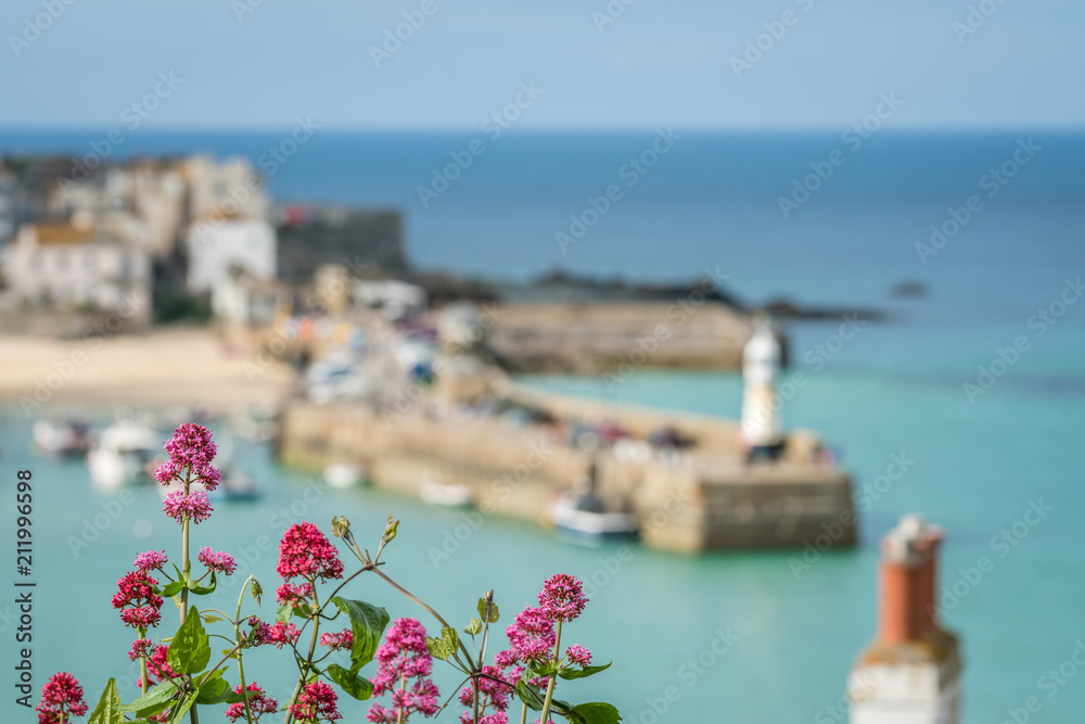 Pink flowers in St Ives