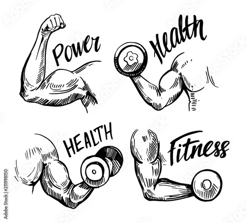 Arm muscle