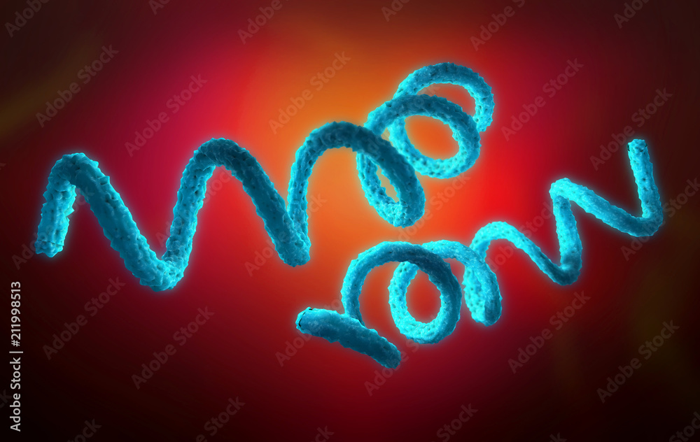 Fototapeta premium 3d illustration of a syphilis pathogen