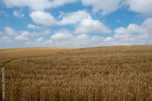 Camino de Santiago as it passes through Navarra