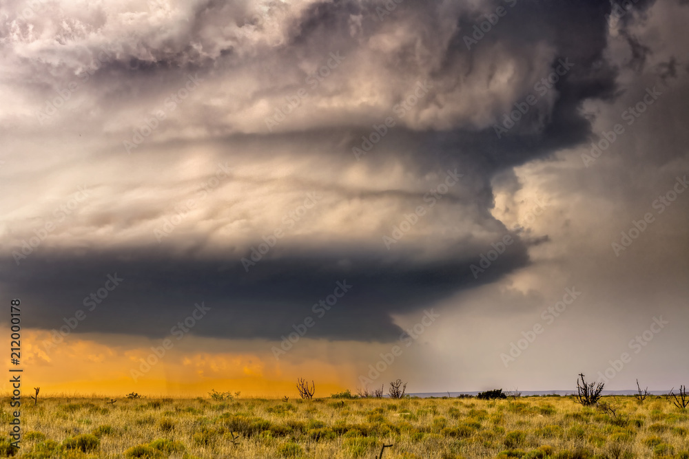 Tornadic supercell over Tornado Alley at sunset Tornadic supercell over Tornado Alley at sunset