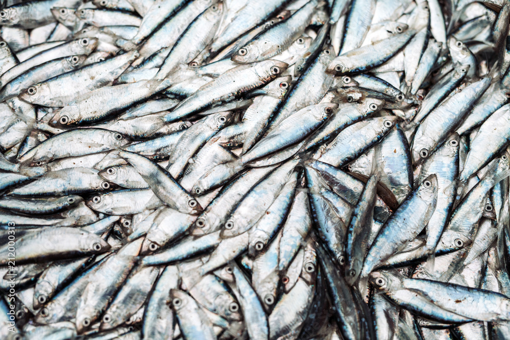 Fish sprats at the fish market. Fresh organic fish. Fish sprats at the fish market. Fresh organic fish.