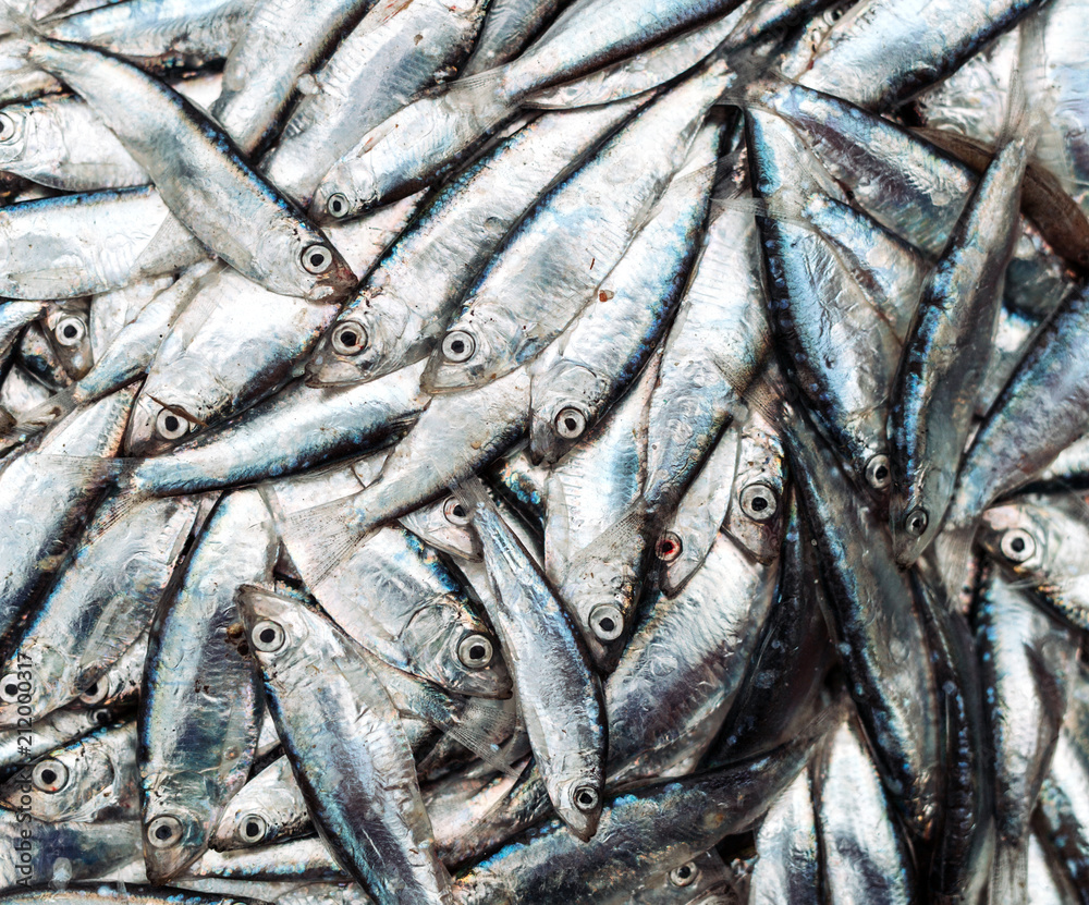 Fish sprats at the fish market. Fresh organic fish. Fish sprats at the fish market. Fresh organic fish.