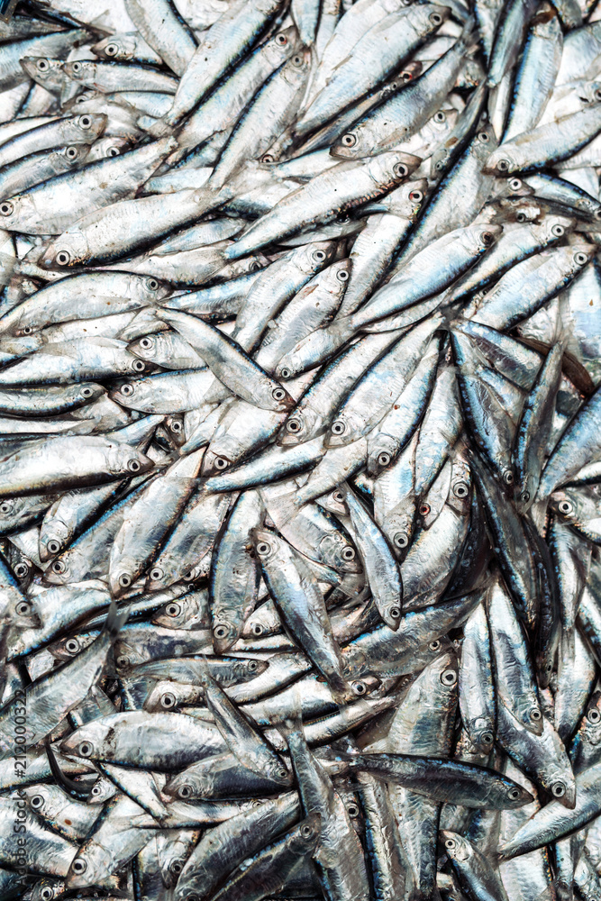 Fish sprats at the fish market. Fresh organic fish. Fish sprats at the fish market. Fresh organic fish.