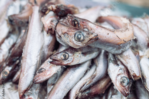 rotten fish on the market.