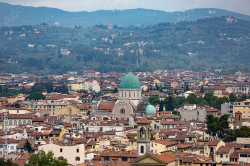 Cityscape view of Florence with the acadamy building in the middle