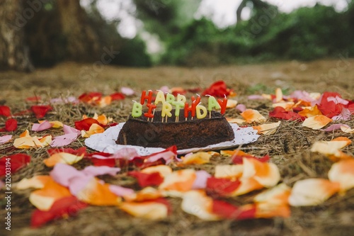 Fototapeta Naklejka Na Ścianę i Meble -  Happy birthday cake with letters candles in the forest