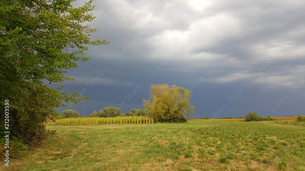 Massive storm with multiple clouds preparing and coming closer over field and trees